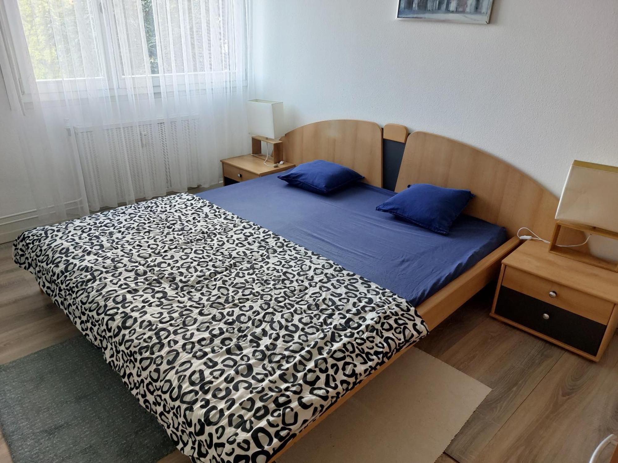 3 Zimmer Apartment In Saint Louis, Nahe Euroairport Ngoại thất bức ảnh